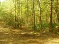 videos de Lost Lake Seeping Sepia