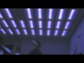 Blacklight Party.wmv
