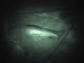 Pihma izvlacenje Amur-Pjeskara Lipik Pihma izvlacenje Amur-Pjeskara Lipik