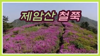 [흥미진진장흥] 제암산 철쭉