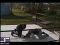 EFE Wired: Alix O'Neil vs K-Dawg Part 1