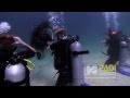 PADI Pro Underwater Cinematography Koh Tao