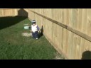 Frasers ball skills