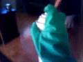 videos de fumigando a lupe