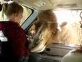 Camel Breath