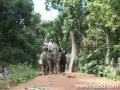 Champasak - Laos