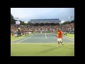 James Blake d. David Nalbandian - Washington 2011