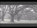 Arundel Plantation on the Pee Dee River in South Carolina