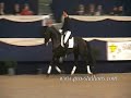 Dressage-I Make It Rain Dressage-I Make It Rain