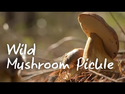 How to Make Mushroom Pickle - Green Renaissance