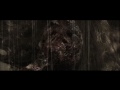 Samurai Avenger - Decomposition Time Lapse by Mike Del Rossa