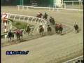 兵庫チャンピオンシップ(Jpn2) フェラーリピサ