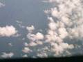 Flight 6117 To Orlando FL