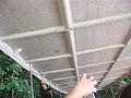 capuchin monkey, panama, gatun, trip