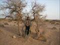 el abiodh sidi cheikh (medani djelloul)