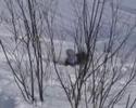 Snowroller X 3 