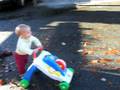 videos de waking in the park (ing lot)