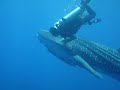 Guatemala Video