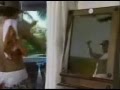 videos de Será que Els São???