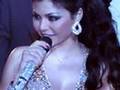 videos de Haifa Wehbe at a charity ball in Beirut on June 20, 2008