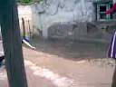 Drogados peleando