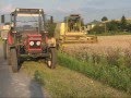 videos de Żniwa 2008 - akcja pszenica
