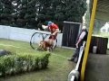 hummer  belgian ring III brecht competition