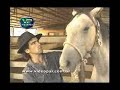 Doma Racional de Cavalos - www.videopar.com.br