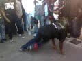 1000pour100 gass