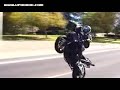 954 wheelie
