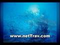 Bora Bora Vacation Secrets - Tahiti Vacation Packages