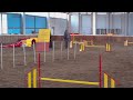 Agility Opava