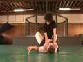 GRACIE JIU-JITSU IN ACTION: for PSP on UMD