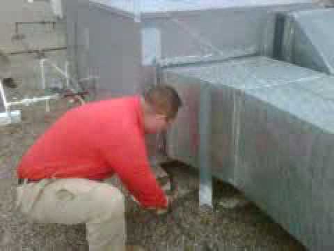 how to get rid birds