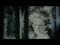 Halloween 48 hour film challenge 2008 Trailer Halloween 48 hour film challenge 2008 Trailer