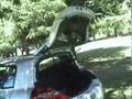 Test-drive-de-Megane