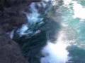 local kids jump off kiama blowhole