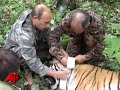 Raw Video: Putin Shoots Tiger With Tranquilizer Raw Video: Putin Shoots Tiger With Tranquilizer
