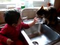 The watering hole