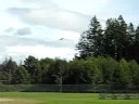 yak 54 landing at timberlane