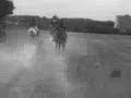 galop dans le champs