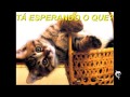 ..::WALLPAPERS JK ::..