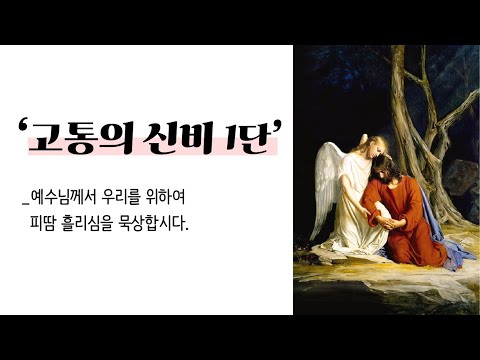  '고통의 신비1단 해설'_예수님께서 우리를 위하여 피땀흘리심을 묵상합시다.(2020년12월19일)