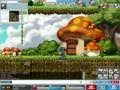Mardia Dragon knight lvl 7x
