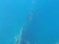 videos de Conquering Coron - Skeleton Wreck