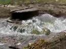 Bardstown Sewers