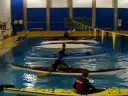 videos kayak