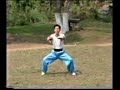 Hungkyun (Hongquan / 洪拳) - Fu hok seung ying kyun (虎鹤双形拳) Hungkyun (Hongquan / 洪拳) - Fu hok seung ying kyun (虎鹤双形拳)