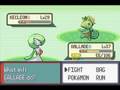 Pokemon Emerald: Northeast Hoenn! Sceptile! (Episode 19)