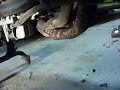 Kawasaki 1100 Engine for sale on Ebay Nov 31st Kawasaki 1100 Engine for sale on Ebay Nov 31st